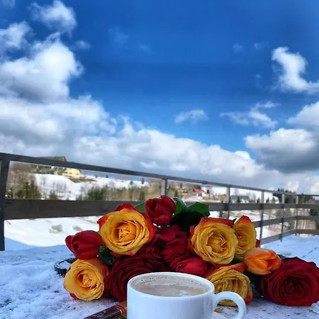 Skalka Zieleniec リゾート *