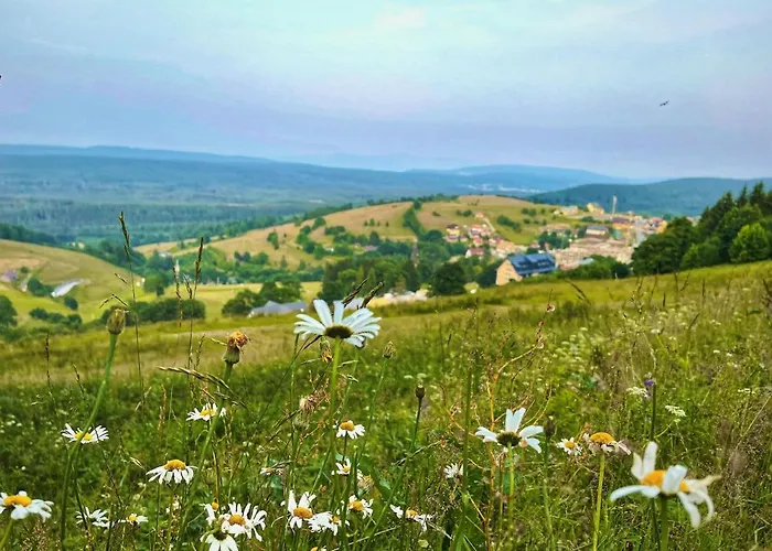 Skałka Ośrodek wypoczynkowy Duszniki Zdrój